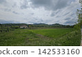 Vineyards on hills in Bologna with a background of hills 142533160