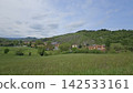 Vineyards on hills in Bologna with a background of hills 142533161
