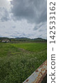 Vineyards on hills in Bologna with a background of hills 142533162