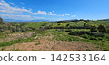 Image of Beautiful Hills and meadows at Sicily 142533164