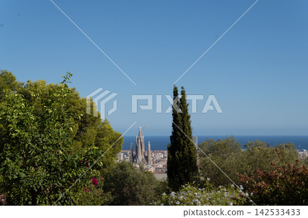 Lush garden overlook presents Sagrada Familia between mature trees with Mediterranean vegetation in foreground. Barcelona rooftops extend toward calm blue sea beneath broad cloudless sky and bright Lush garden overlook presents Sagrada Familia between mature trees with Mediterranean vegetation in foreground. Barcelona rooftops extend toward calm blue sea beneath broad cloudless sky and bright 142533433