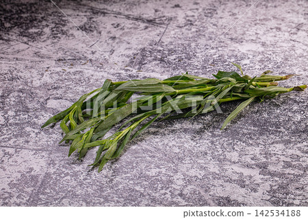 Fresh green tarragon sprigs on textured gray surface Fresh green tarragon sprigs on textured gray surface 142534188
