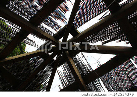 The process of covering a reed roof over an open wooden gazebo The process of covering a reed roof over an open wooden gazebo 142534379