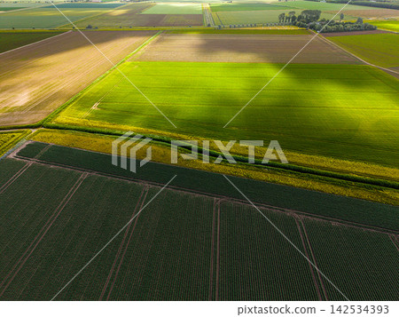 High angle wide horizontal aerial drone photograph of polder fields, crop rows, drainage canals, and cloud shadows in Kamperland, Zeeland, Netherlands on sunny summer day High angle wide horizontal aerial drone photograph of polder fields, crop rows, drainage canals, and cloud shadows in Kamperland, Zeeland, Netherlands on sunny summer day 142534393