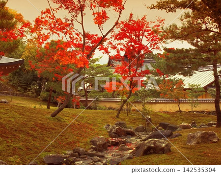 natural freshness rain morning japan. High quality photo 142535304