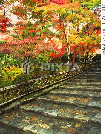 natural freshness rain morning japan. High quality photo natural freshness rain morning japan. High quality photo 142535317