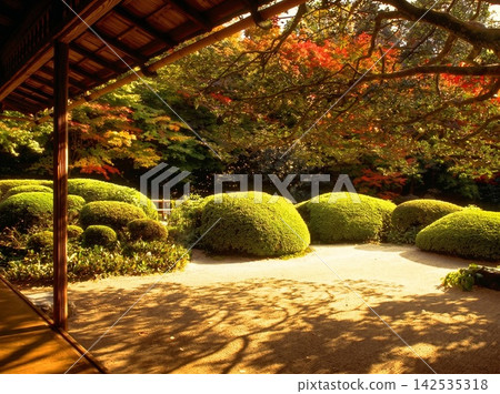 natural freshness rain morning japan. High quality photo natural freshness rain morning japan. High quality photo 142535318