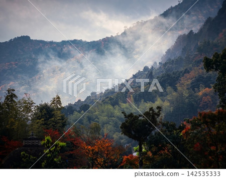 natural freshness rain morning japan. High quality photo natural freshness rain morning japan. High quality photo 142535333
