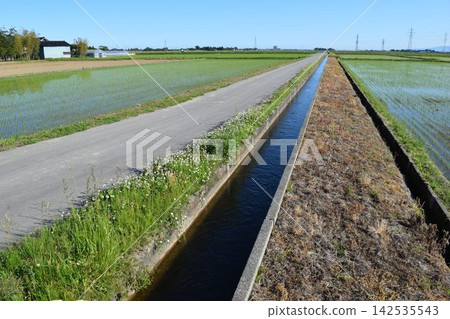 Farm roads and agricultural waterways Rural scenery Farm roads and agricultural waterways Rural scenery 142535543