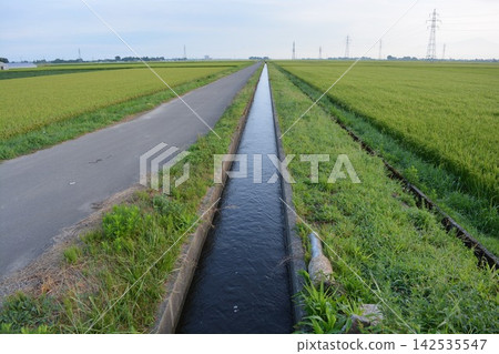 Farm roads and agricultural waterways Rural scenery Farm roads and agricultural waterways Rural scenery 142535547