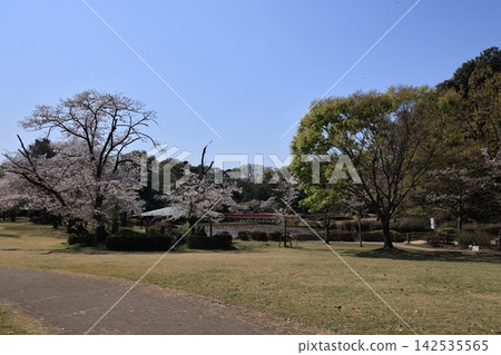 Scenery from Sakitama Kofun Park in Gyoda City, Saitama Prefecture 142535565