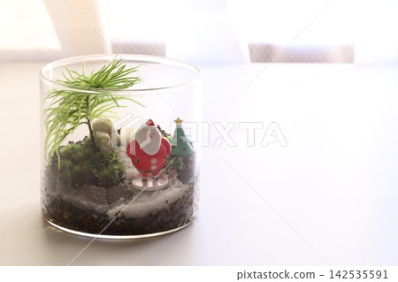 Christmas-themed moss terrarium 142535591