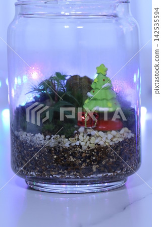 Christmas-themed moss terrarium Christmas-themed moss terrarium 142535594