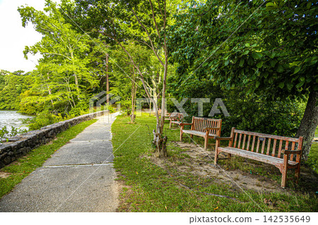 美國喬治亞州石山公園 美國喬治亞州石山公園 142535649