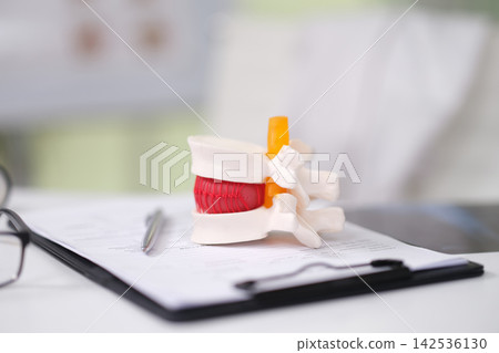 Human spine model on clipboard with pen in soft office light, showing anatomy planning, orthopedic healthcare, medical consultation, and patient education concept in modern clinic environment Human spine model on clipboard with pen in soft office light, showing anatomy planning, orthopedic healthcare, medical consultation, and patient education concept in modern clinic environment 142536130