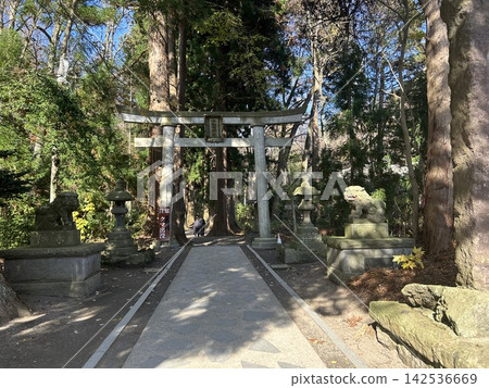 這些是位於青森縣十和田湖畔的十和田神社的石鳥居、守護獅犬和壯麗的雪松樹。 這些是位於青森縣十和田湖畔的十和田神社的石鳥居、守護獅犬和壯麗的雪松樹。 142536669