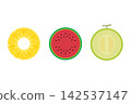 Illustrations of cross-sections of summer fruits (melon, watermelon, pineapple) 142537147