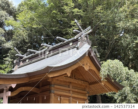 錦町一番八幡宮 錦町一番八幡宮 142537314