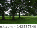 A park in the middle of greenery A park in the middle of greenery 142537340