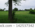Landscape with green Landscape with green 142537342