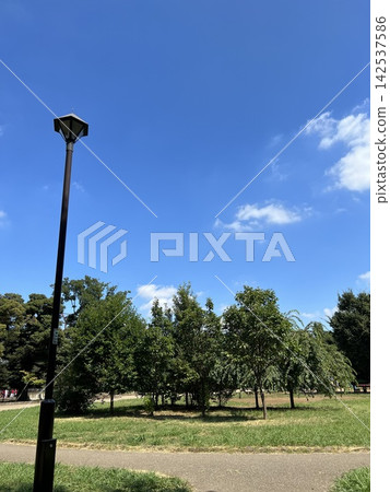 公園裡的戶外燈光映襯著藍天 公園裡的戶外燈光映襯著藍天 142537586