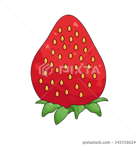 Illustration of strawberry 142538024