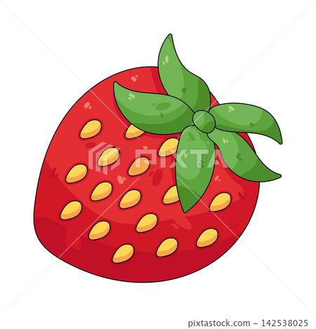 Illustration of strawberry 142538025