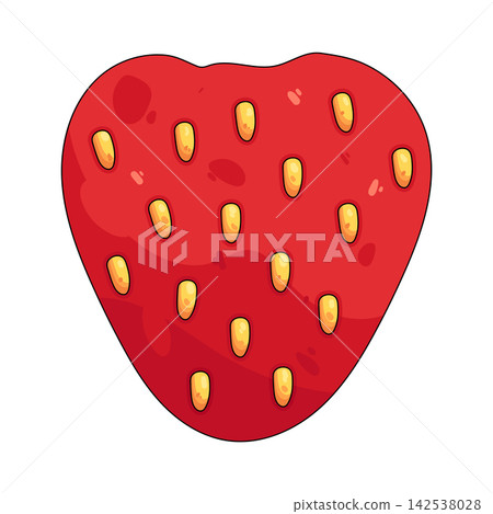Illustration of strawberry Illustration of strawberry 142538028