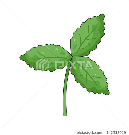 Illustration of green strawberry leaf 142538029