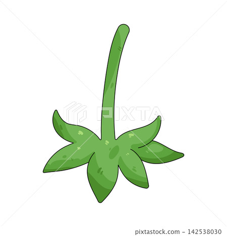 Illustration of green strawberry stem 142538030
