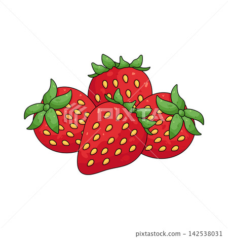 Illustration of strawberry bunch 142538031