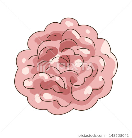 Illustration of pink pom pom decoration Illustration of pink pom pom decoration 142538041