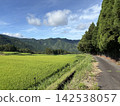 市房山梯田 142538057