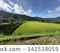市房山梯田 142538059