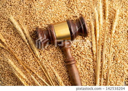 Judge gavel hammer with wheat ear grain from agriculture farm. Judge gavel hammer with wheat ear grain from agriculture farm. 142538204