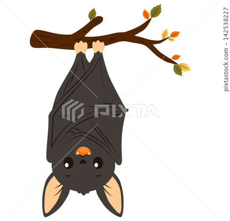Cute Halloween Bat Hanging Upside Down from Autumn Tree Branch Illustration Cute Halloween Bat Hanging Upside Down from Autumn Tree Branch Illustration 142538227