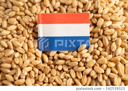 Natherlands flag with Wheat and grains ears agricultural, organic farm. 142539323