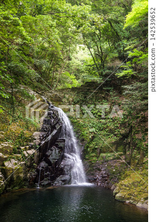 Fudo Falls, Akame Forty-Eight Waterfalls, in Nabari City, Mie Prefecture Fudo Falls, Akame Forty-Eight Waterfalls, in Nabari City, Mie Prefecture 142539652