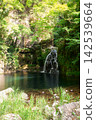Senju Falls, located in Akame Forty-Eight Waterfalls in Nabari City, Mie Prefecture. 142539664