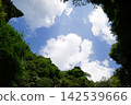 A natural scene where you can see the blue sky and white clouds through the gaps in the trees. 142539666