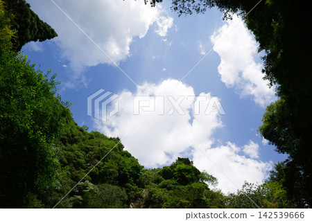 透過樹木的縫隙,可以看到藍天白雲,這是一幅美麗的自然景象。 透過樹木的縫隙,可以看到藍天白雲,這是一幅美麗的自然景象。 142539666