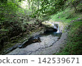 Located in the gorge of Akame Forty-Eight Waterfalls in Nabari City, Mie Prefecture, is Ryuga Tsubo. 142539671