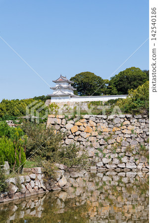 Akashi Castle (Akashi City, Hyogo Prefecture) as the autumn leaves begin to change color. Akashi Castle (Akashi City, Hyogo Prefecture) as the autumn leaves begin to change color. 142540186