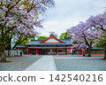 Fujisan Hongu Sengen Taisha Shinto Shrine where cherry blossoms are blooming on a rainy day at Shizuoka, Japan. 142540216