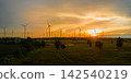 Landscape panorama of Many wind turbine at the fields at sunset 142540219
