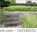 Wooden benches along a promenade surrounded by greenery 142540252
