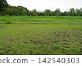 River flowing through a wetland River flowing through a wetland 142540303