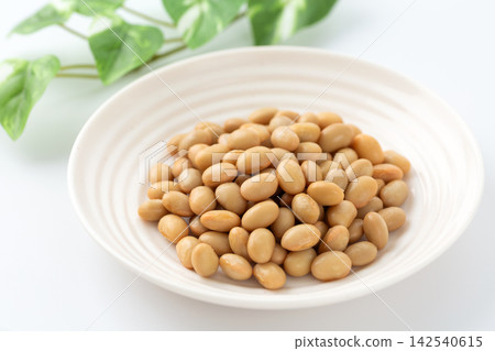 蒸大豆 蒸大豆 142540615