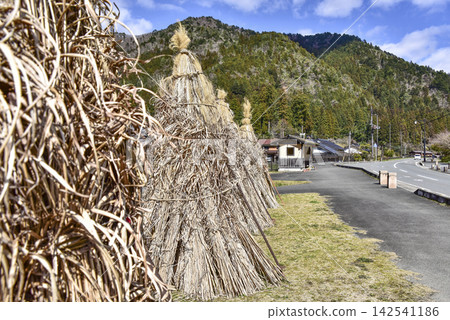 Thatch drying (Miyama Thatched Village) Thatch drying (Miyama Thatched Village) 142541186