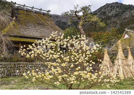 三俁(宮山茅草村) 三俁(宮山茅草村) 142541389